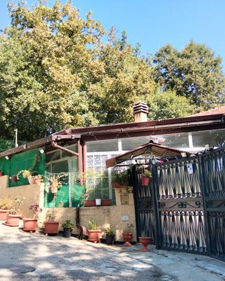 Villetta cn giardino e bosco di proprietà