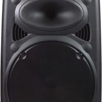 DYNASONIC - Dynapro 15' (ultima generazione) 800w