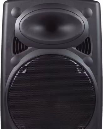 DYNASONIC - Dynapro 15' (ultima generazione) 800w