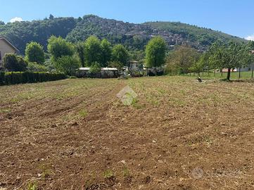 TER. RESIDENZIALE A ARTENA