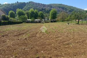 TER. RESIDENZIALE A ARTENA