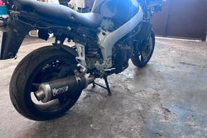 Triumph 955 st
