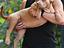 Immagine 1
