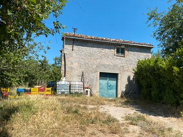Terreno con Rustico in Molise