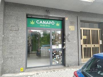 Locale Commerciale - Benevento