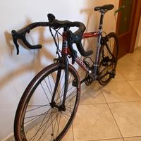 Bicicletta da corsa Torpado Destriero