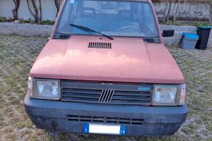 Fiat Panda Young