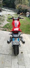 Ducati monster