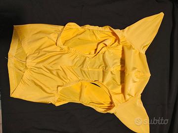 Maschera per cavalli