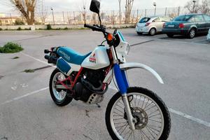 HONDA XL600