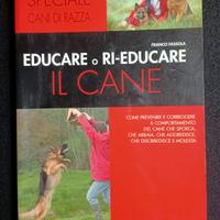 Educare e ri-educare il cane.
