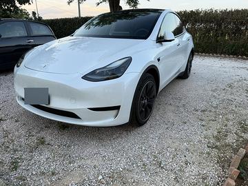 Model y rwd trazione posteriore