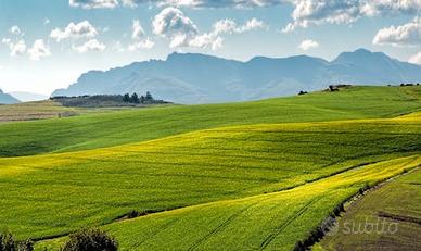 Terreni agricoli