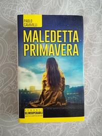 MALEDETTA PRIMAVERA, Paolo Cammilli, Newton Compto