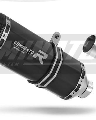 SCARICO TERMINALE SPECIAL TITANIO BLACK BMW R1200R