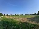 ter-agricolo-a-saccolongo