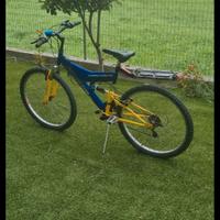 mountain bike ragazzo/uomo