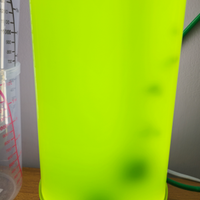 Fitoplacton reef acquario marino reef coralli