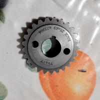 Pignone drt race 25x69 per campana 27/69