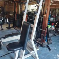 Panca Lento Dietro / Spalla Press Technogym Pro