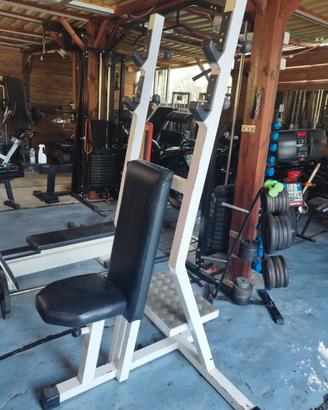 Panca Lento Dietro / Spalla Press Technogym Pro