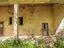 Immagine 6