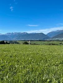 Appartamento piano terra in Val di Non