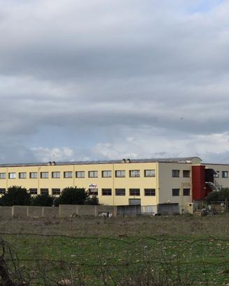 Locale deposito commerciale in capannone