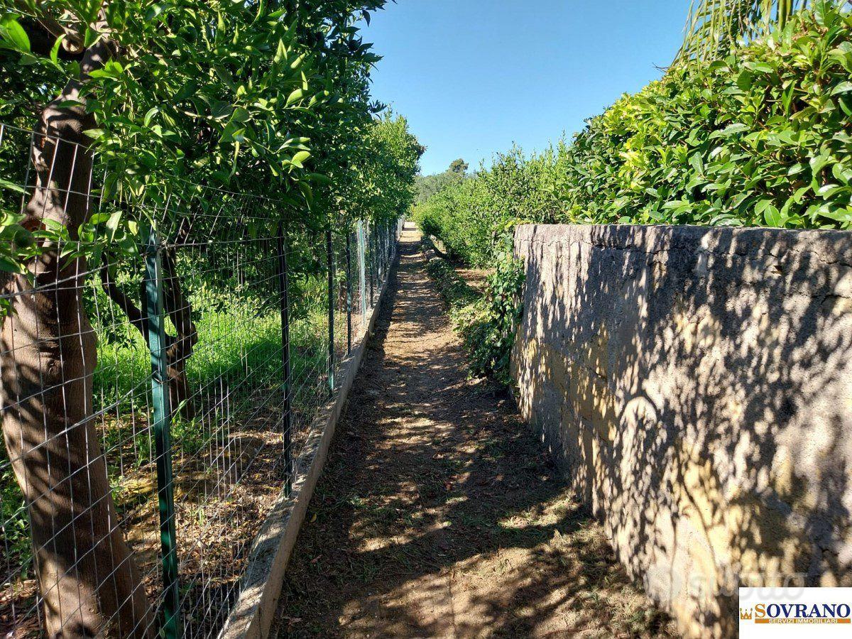 VILLAGRAZIA DI PALERMO: TERRENO MQ 1.600 - Vista 4
