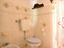 Immagine 12
