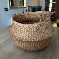 Cestino pianta erbacea