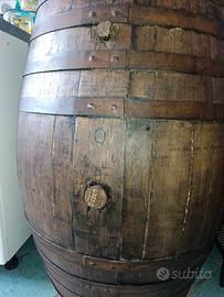 botte di rovere storica