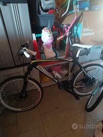 Mountain bike bottecchia