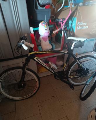 Mountain bike bottecchia