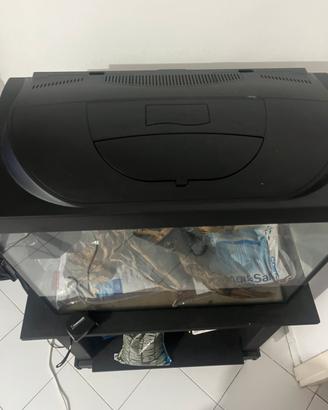Acquario 90lt