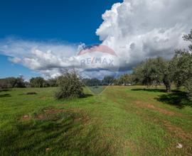 Terreno - Caltagirone