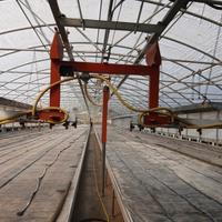 Azienda agricola con serre