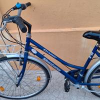 Biciclette ruote 28