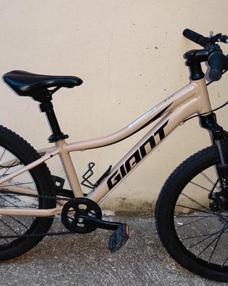 MTB Giant xtc Jr Disc 24