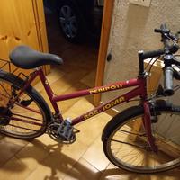 Bicicletta