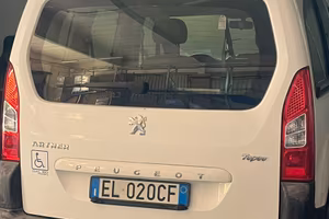 Peugeot trasporto disabili