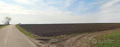 Azienda agricola 500 ha con fabbricati