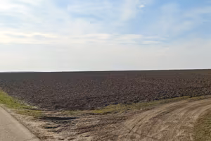Azienda agricola 500 ha con fabbricati