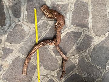 Legno per terrario o acquario