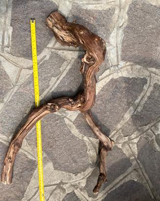 Legno per terrario o acquario