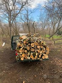 legna da ardere nocciolo