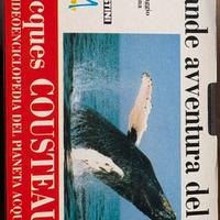 La grande avventura del mare