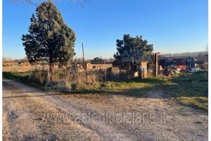Terreno Agricolo Sinalunga [A4350154]