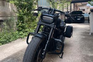 Harley davidson fat bob