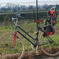 Bicicletta da 26 con  seggiolino